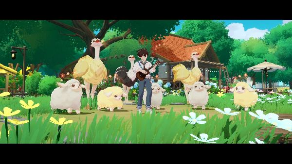 תמונה גדולה 1