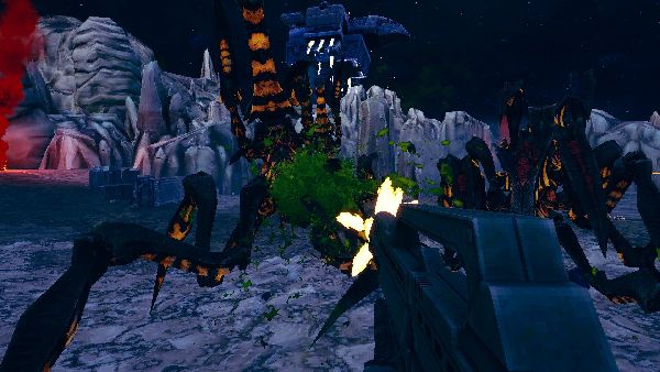 תמונה גדולה 2