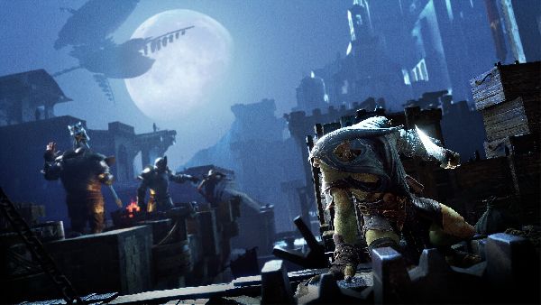 תמונה גדולה 2