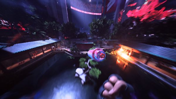 תמונה גדולה 5