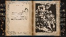 תמונה קטנה 2