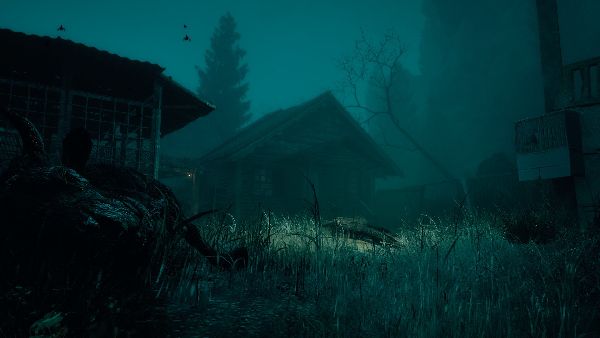 תמונה גדולה 3