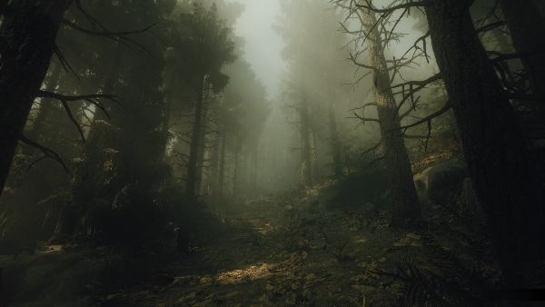 תמונה גדולה 4