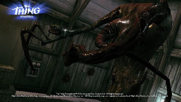 תמונה גדולה 4