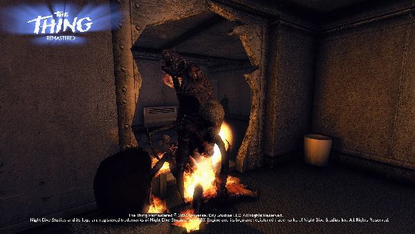 תמונה גדולה 8