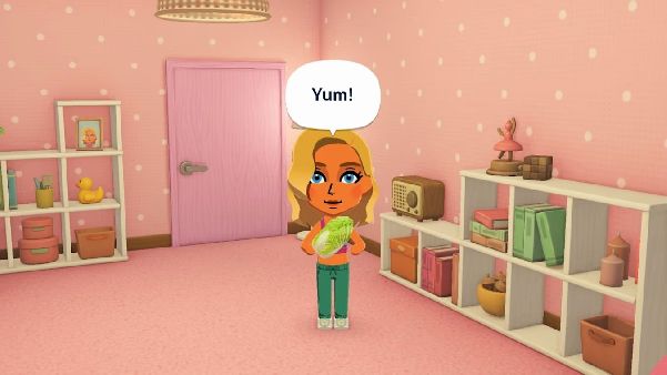 תמונה גדולה 6