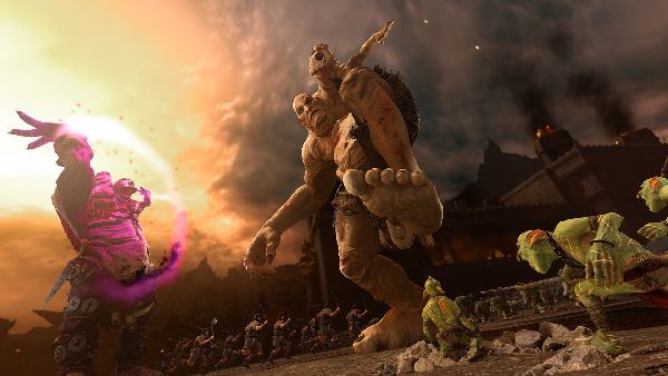 תמונה גדולה 5