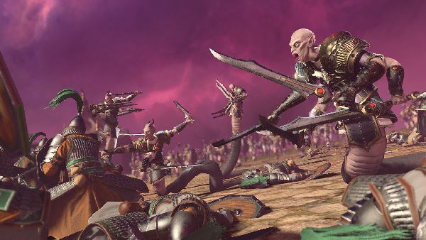 תמונה גדולה 2