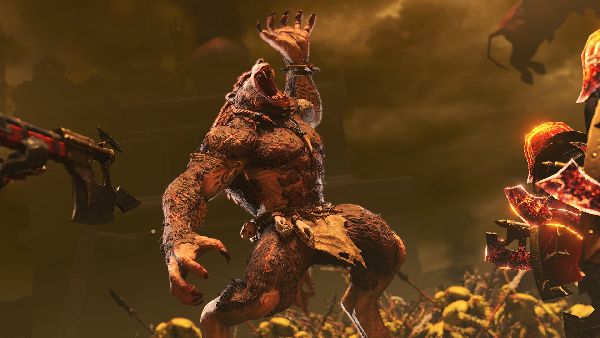 תמונה גדולה 2