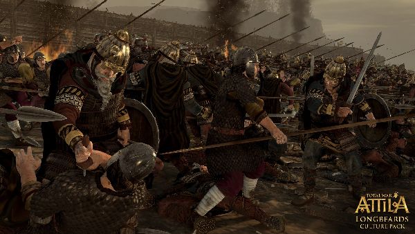 תמונה גדולה 2