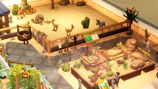 תמונה גדולה 2