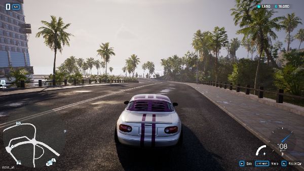 תמונה גדולה 3