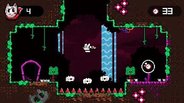 תמונה גדולה 6