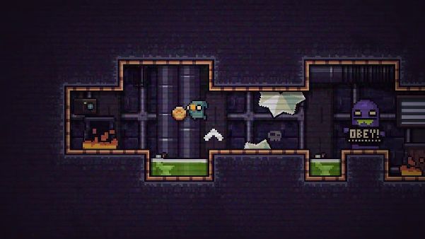 תמונה גדולה 5