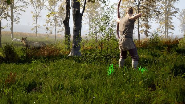 תמונה גדולה 7