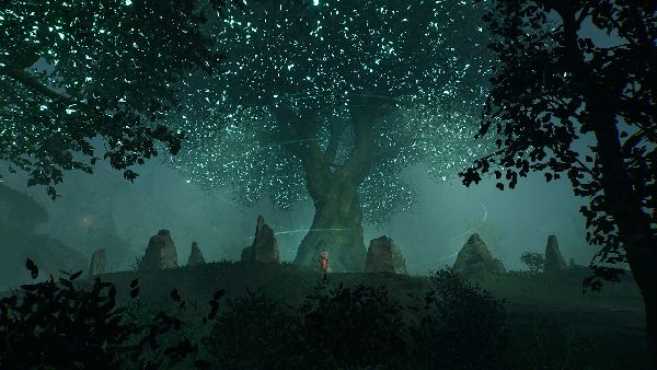 תמונה גדולה 5