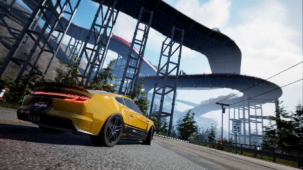 תמונה גדולה 2