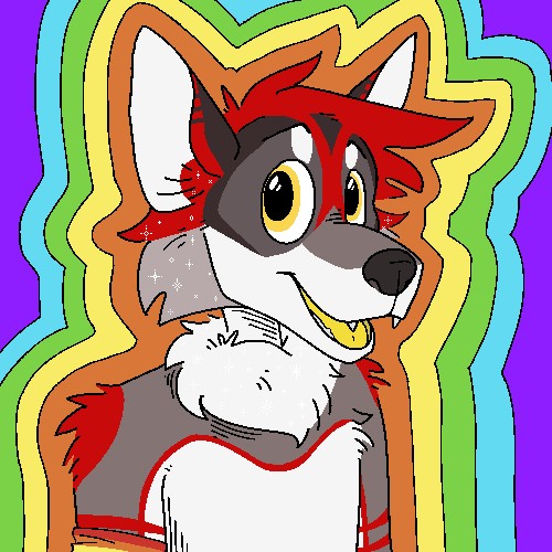 תמונת פרופיל משתמש